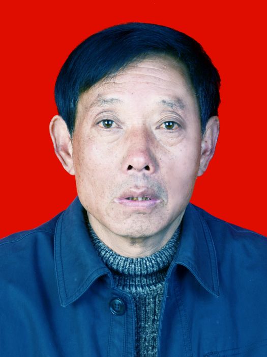 李成武(河南省南陽市西峽縣發改委一級主任科員) 李成武(河南省南陽市西峽縣發改委一級主任科員)