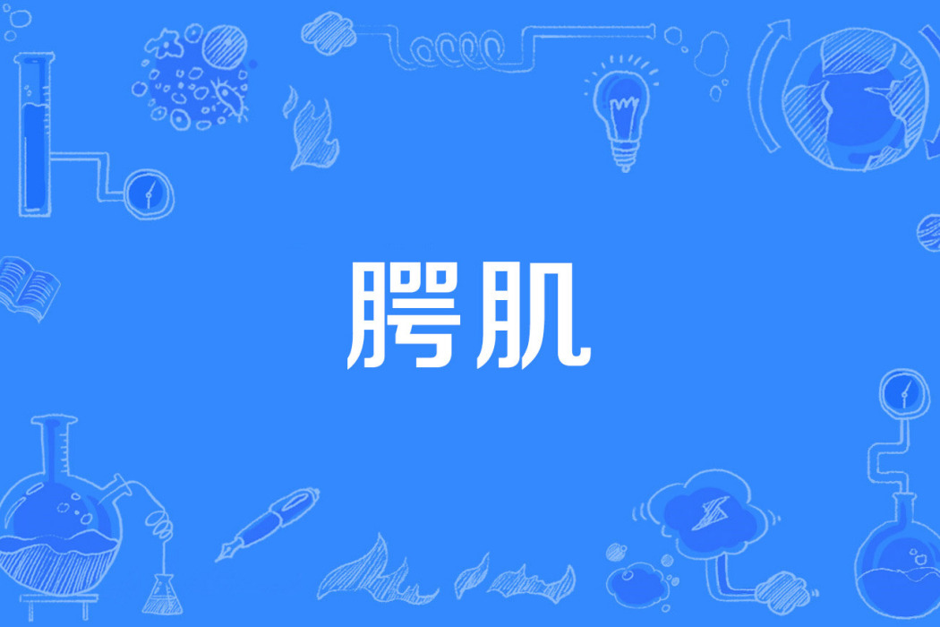 齶肌 齶肌