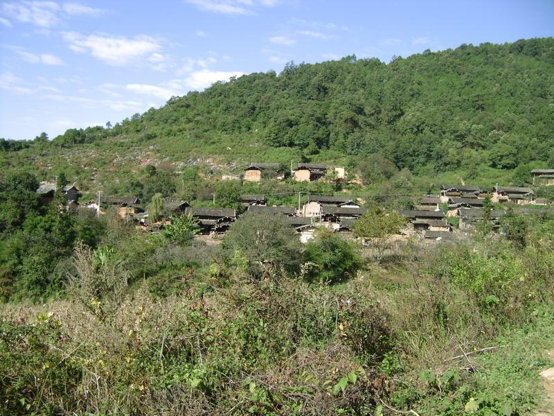 蕎地灣村 蕎地灣村