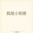 我是小刺客 我是小刺客
