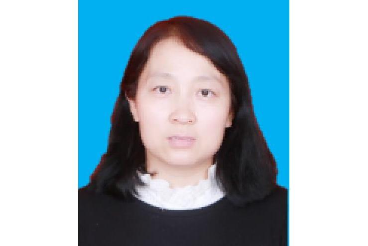 王華(榆林學院化學與化工學院教師)