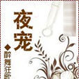 夜寵 夜寵