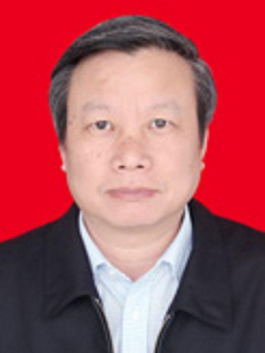 段靈利 段靈利