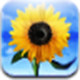 圖片更新 圖片更新
