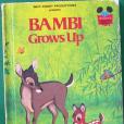 Bambi Grows Up Disneys Wonderful World of Reading Bambi Grows Up Disneys Wonderful World of Reading