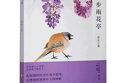 漫步雨花亭 漫步雨花亭