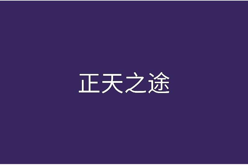 正天之途 正天之途