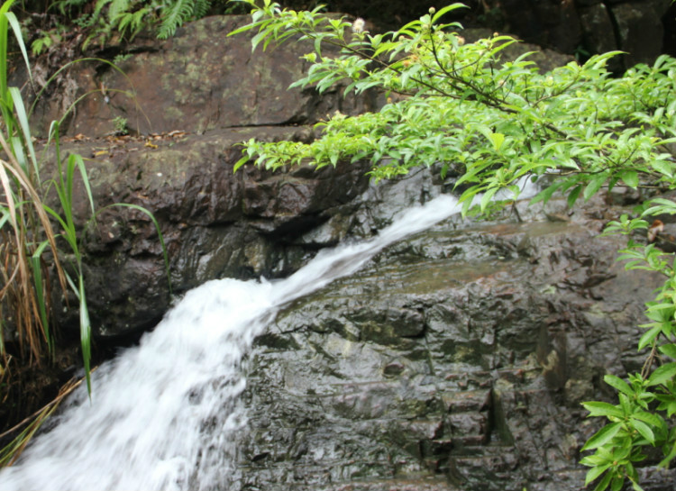 觀音山森林公園