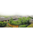 半岙村 半岙村