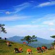 八排山 八排山