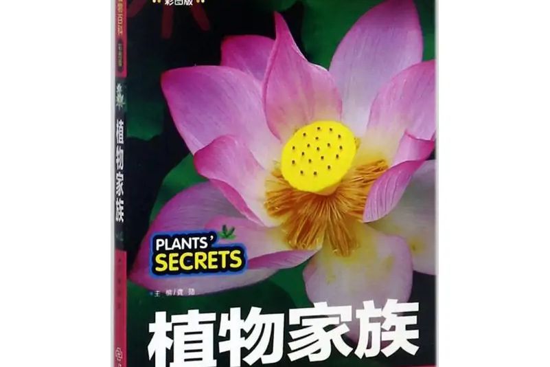 植物家族 植物家族