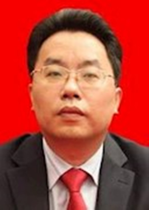 李龍飛(廣東省茂名信宜市委常委、常務副市長)