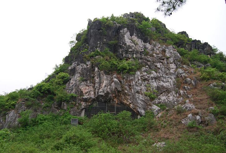 玉蟾岩遺址(道縣玉蟾岩)
