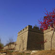 馬面(古代城牆的馬面) 馬面(古代城牆的馬面)
