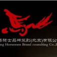天馬騎士(北京策劃公司)