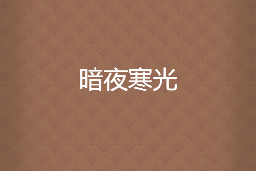 暗夜寒光 暗夜寒光