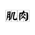 肌肉(漢語詞語) 肌肉(漢語詞語)
