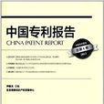 中國專利報告