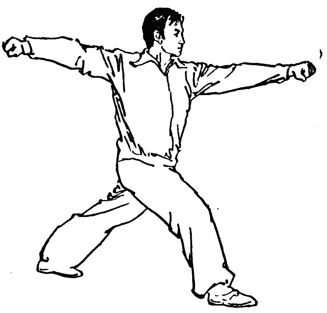 梅花拳(中國傳統武術拳種之一)