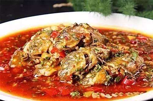 懷胎鯽魚 懷胎鯽魚
