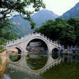 澠池縣