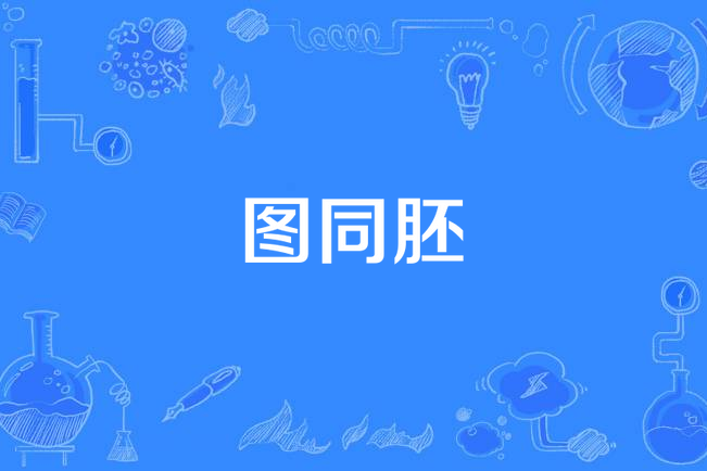 圖同胚 圖同胚