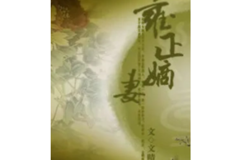 雍正嫡妻 雍正嫡妻