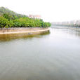 通濟河 通濟河