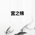 宮之錦 宮之錦