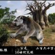 巨狐猴 巨狐猴