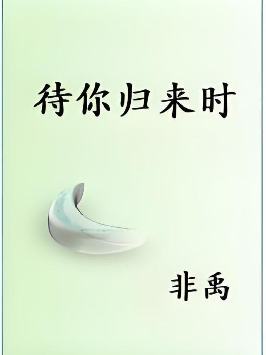待你歸來(非禹創作的輕小說作品) 待你歸來(非禹創作的輕小說作品)