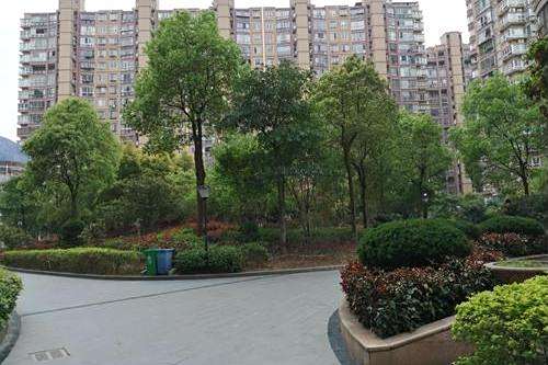 外灘逸景 外灘逸景