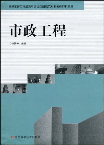 市政工程(張國棟著河南科學技術出版社出版圖書)
