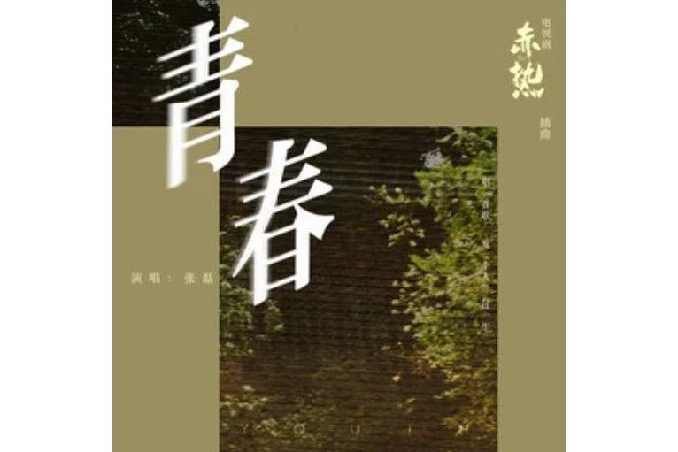 青春(張磊演唱的歌曲) 青春(張磊演唱的歌曲)