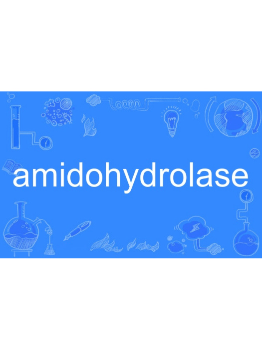 amidohydrolase amidohydrolase