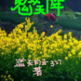 鬼從天降 鬼從天降