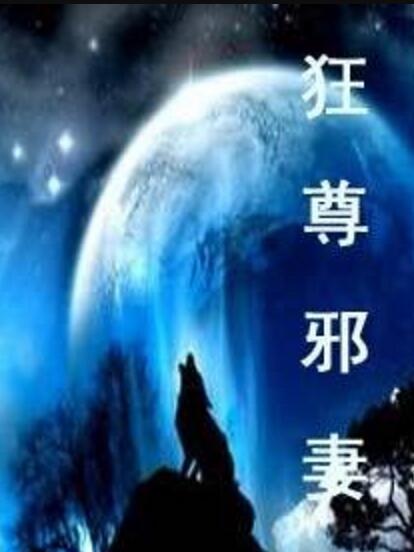 狂尊邪妻 狂尊邪妻