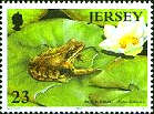 捷蛙郵票