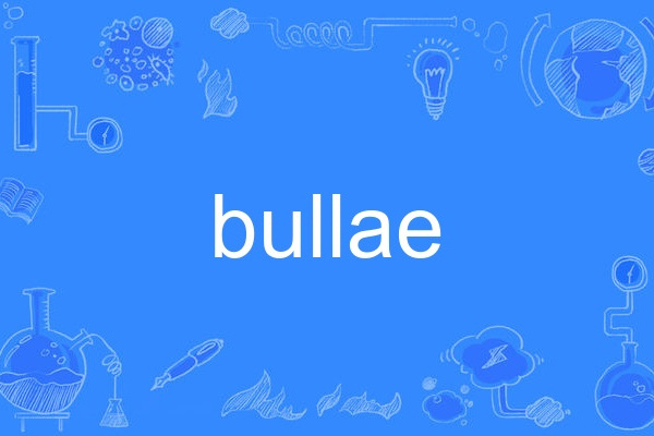 bullae bullae