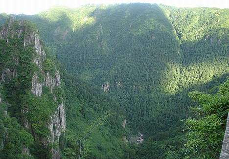 樟台村 樟台村