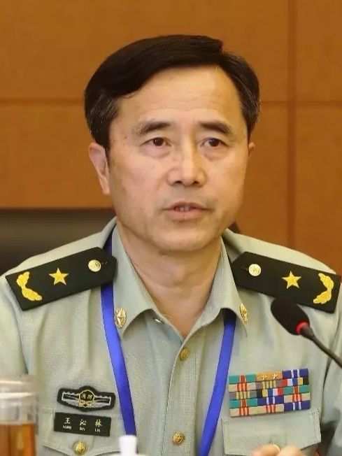 王沁林 王沁林