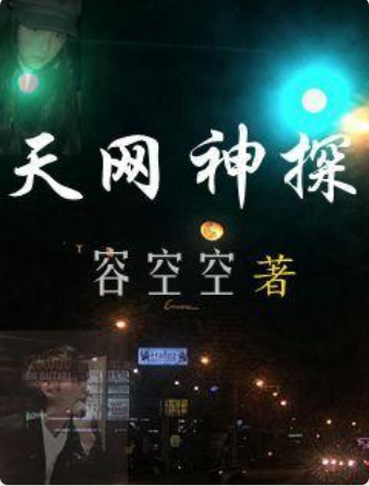 天網神探 天網神探