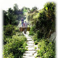 馱山嶺古道 馱山嶺古道