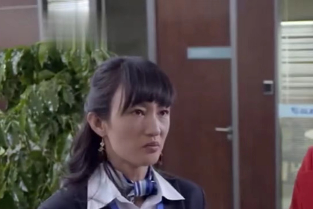 何美麗(都市情感劇《爸爸快長大》中的角色) 何美麗(都市情感劇《爸爸快長大》中的角色)