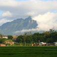 石馬山村(湖北省羅田縣匡河鎮石馬山村) 石馬山村(湖北省羅田縣匡河鎮石馬山村)
