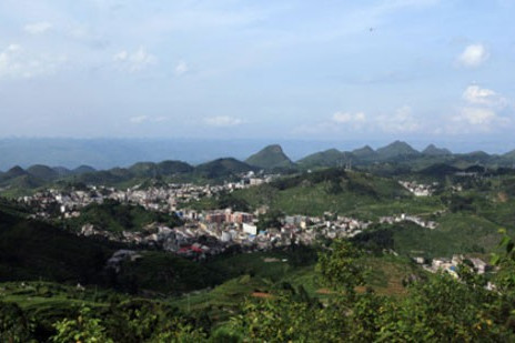 翠華晴隆 翠華晴隆
