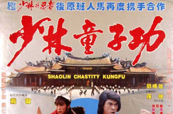 少林童子功(1981年的台灣電影)
