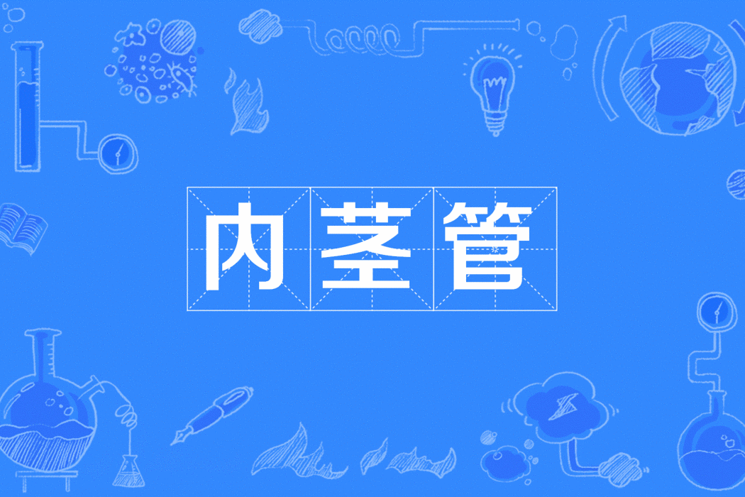 內莖管 內莖管