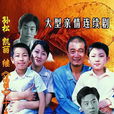 非親兄弟(2006年張友齡執導的電視劇) 非親兄弟(2006年張友齡執導的電視劇)