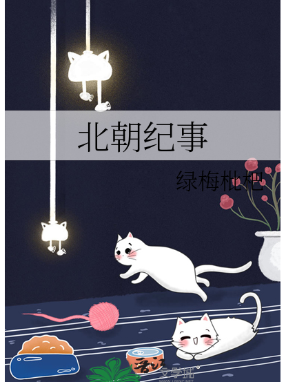 北朝紀事 北朝紀事